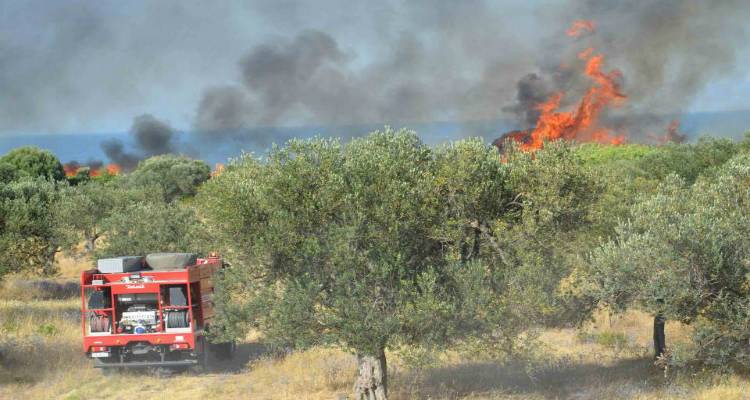 &Kappa;έ&rho;&kappa;&upsilon;&rho;&alpha;: &Gamma;&iota;&alpha; &epsilon;&mu;&pi;&rho;&eta;&sigma;&mu;ό &alpha;&pi;ό &pi;&rho;ό&theta;&epsilon;&sigma;&eta; &kappa;&alpha;&tau;&eta;&gamma;&omicron;&rho;&omicron;ύ&nu;&tau;&alpha;&iota; &tau;&rho;&epsilon;&iota;&sigmaf; ά&nu;&delta;&rho;&epsilon;&sigmaf;