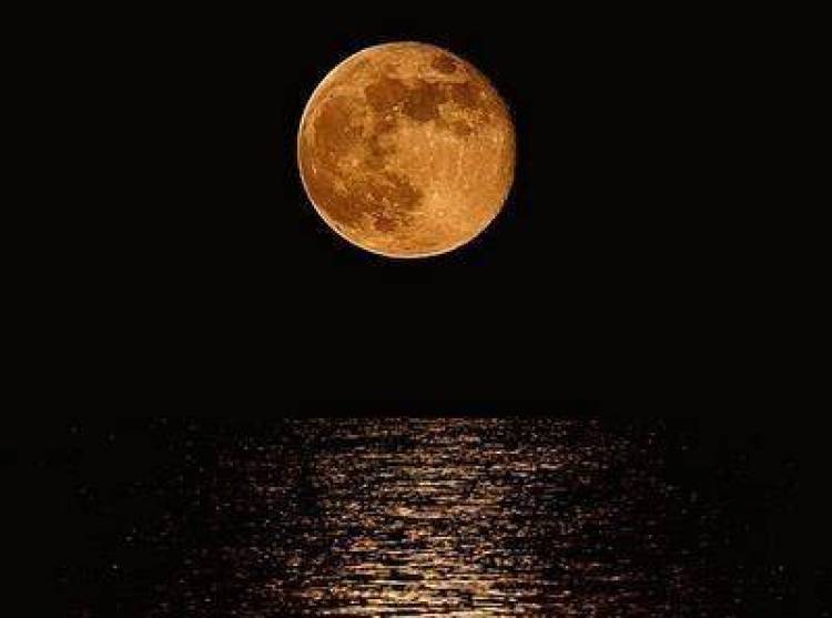 &Mu;&epsilon; &pi;&alpha;&nu;&sigma;έ&lambda;&eta;&nu;&omicron; &sigma;&tau;&eta;&nu; &Pi;&omicron;&lambda;&iota;ό&chi;&nu;&eta;.