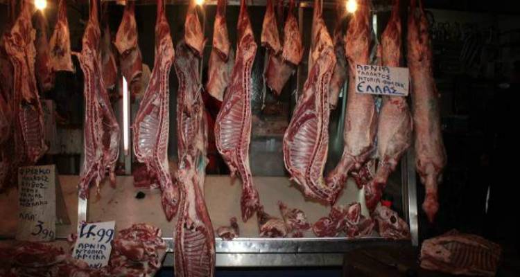 &Phi;&omega;&tau;&omicron;&gamma;&rho;&alpha;&phi;ί&alpha;: Eurokinissi &Epsilon;&Lambda;&Lambda;&Alpha;&Delta;&Alpha;