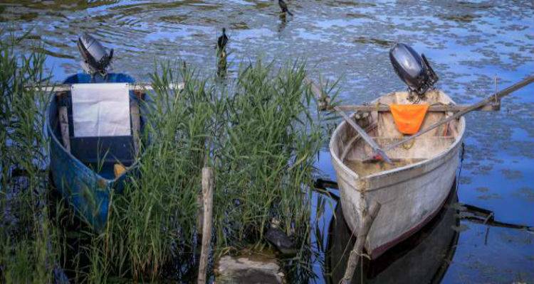 Alert &sigma;&tau;&omicron; &Alpha;&iota;&gamma;&alpha;ί&omicron;: &Tau;&omicron;&xi;&iota;&kappa;ά &psi;ά&rho;&iota;&alpha; έ&chi;&omicron;&upsilon;&nu; &epsilon;&mu;&phi;&alpha;&nu;&iota;&sigma;&tau;&epsilon;ί &sigma;&tau;&iota;&sigmaf; &epsilon;&lambda;&lambda;&eta;&nu;&iota;&kappa;έ&sigmaf; &theta;ά&lambda;&alpha;&sigma;&sigma;&epsilon;&sigmaf;