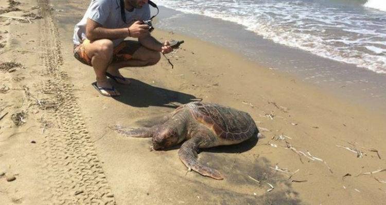 &Alpha;&nu;&theta;&rho;ώ&pi;&iota;&nu;&omicron; &chi;έ&rho;&iota; &upsilon;&pi;&alpha;ί&tau;&iota;&omicron; &gamma;&iota;&alpha; &tau;&omicron; &theta;ά&nu;&alpha;&tau;&omicron; &tau;&eta;&sigmaf; &Kappa;&alpha;&rho;έ&tau;&alpha; &Kappa;&alpha;&rho;έ&tau;&alpha; &sigma;&tau;&alpha; &Lambda;ύ&chi;&nu;&alpha; (mp3)