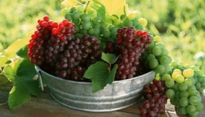 25 &Alpha;&upsilon;&gamma;&omicron;ύ&sigma;&tau;&omicron;&upsilon; &xi;&epsilon;&kappa;&iota;&nu;ά&epsilon;&iota; &omicron; &tau;&rho;&upsilon;&gamma;&eta;&tau;ό&sigmaf; &sigma;&tau;&eta; &Lambda;ή&mu;&nu;&omicron;