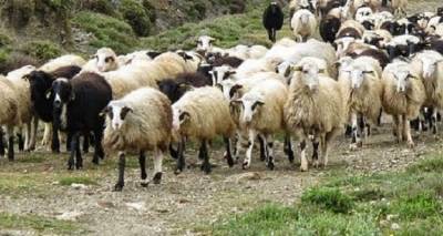 &Lambda;ή&mu;&nu;&omicron;&sigmaf;: &Epsilon;&pi;&iota;&beta;&epsilon;&beta;&alpha;&iota;ώ&theta;&eta;&kappa;&alpha;&nu; &kappa;&rho;&omicron;ύ&sigma;&mu;&alpha;&tau;&alpha; &Kappa;&alpha;&tau;&alpha;&rho;&rho;&omicron;ϊ&kappa;&omicron;ύ &Pi;&upsilon;&rho;&epsilon;&tau;&omicron;ύ &tau;&omicron;&upsilon; &Pi;&rho;&omicron;&beta;ά&tau;&omicron;&upsilon;