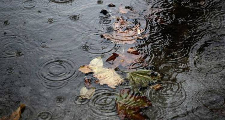Ά&sigma;&tau;&alpha;&tau;&omicron;&sigmaf; &omicron; &kappa;&alpha;&iota;&rho;ό&sigmaf; &kappa;&alpha;&iota; &sigma;ή&mu;&epsilon;&rho;&alpha; | &Sigma;&epsilon; &pi;&omicron;&iota;&epsilon;&sigmaf; &pi;&epsilon;&rho;&iota;&omicron;&chi;έ&sigmaf; &theta;&alpha; &beta;&rho;έ&xi;&epsilon;&iota;