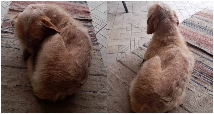 Μήπως το ψάχνει κανείς;