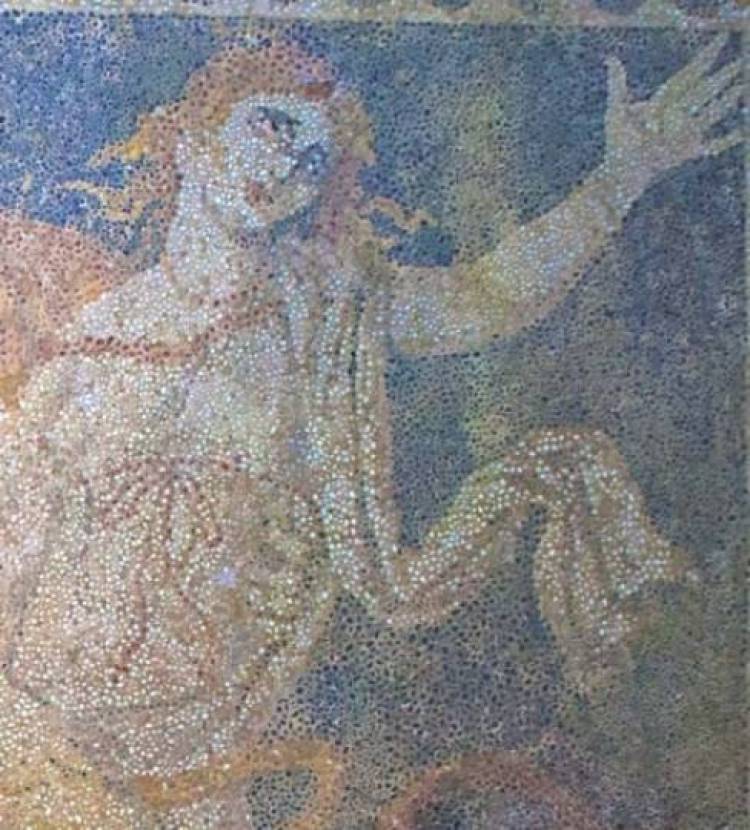 &Alpha;&mu;&phi;ί&pi;&omicron;&lambda;&eta;: &Alpha;&pi;&omicron;&kappa;&alpha;&lambda;ύ&phi;&theta;&eta;&kappa;&epsilon; &eta; &Pi;&epsilon;&rho;&sigma;&epsilon;&phi;ό&nu;&eta; (photo)