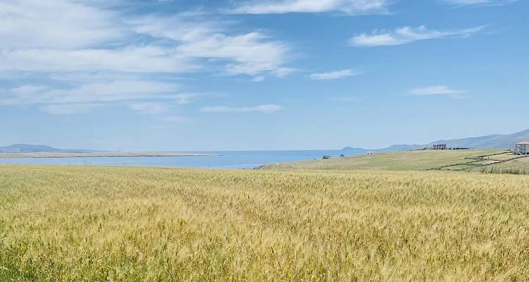 Cantina: Λήμνος | Ένα γαστρονομικό ταξίδι στις γεύσεις και παραδόσεις της γης του Ηφαίστου