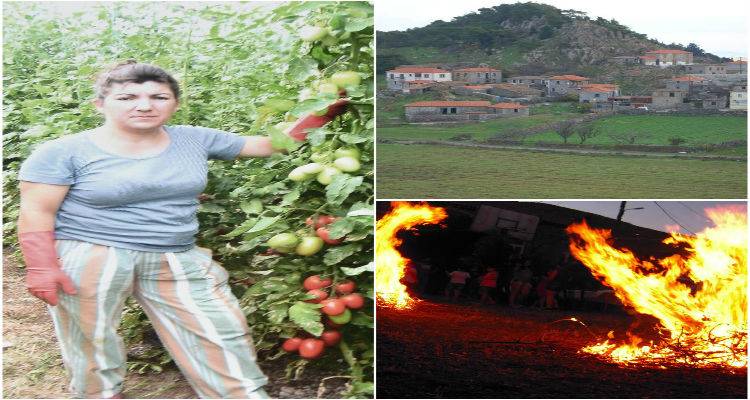 &Omicron; &Kappa;&omicron;&nu;&tau;&iota;ά&sigmaf; &alpha;&nu;&alpha;&beta;ά&lambda;&lambda;&epsilon;&iota; &tau;&omicron;&upsilon;&sigmaf; &kappa;&alpha;&kappa;&alpha;&nu;&omicron;ύ&sigmaf; &kappa;&alpha;&iota; &sigma;&upsilon;&mu;&pi;&alpha;&rho;&alpha;&sigma;&tau;έ&kappa;&epsilon;&tau;&alpha;&iota; &sigma;&tau;&eta;&nu; &omicron;&iota;&kappa;&omicron;&gamma;έ&nu;&epsilon;&iota;&alpha; &tau;&eta;&sigmaf; &Epsilon;&lambda;έ&nu;&eta;&sigmaf; &Pi;&epsilon;&tau;&epsilon;&iota;&nu;ά&rho;&iota;&alpha;