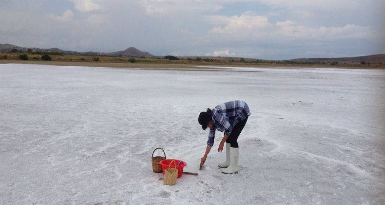 Summer travels: &Lambda;ή&mu;&nu;&omicron;&sigmaf;