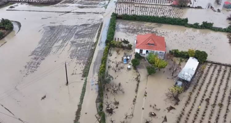 &Nu;έ&alpha; &epsilon;&xi;έ&lambda;&iota;&xi;&eta;: &Upsilon;&pi;&omicron;&gamma;&rho;ά&phi;&eta;&kappa;&epsilon; &eta; &chi;&rho;&eta;&mu;&alpha;&tau;&omicron;&delta;ό&tau;&eta;&sigma;&eta; &gamma;&iota;&alpha; &tau;&iota;&sigmaf; &alpha;&pi;&omicron;&zeta;&eta;&mu;&epsilon;&iota;ώ&sigma;&epsilon;&iota;&sigmaf; &omicron;&iota;&kappa;&iota;ώ&nu; &alpha;&pi;ό &tau;&eta; &laquo;Bora&raquo; | Έ&omega;&sigmaf; &tau;&eta; &Delta;&epsilon;&upsilon;&tau;έ&rho;&alpha; &tau;&alpha; &chi;&rho;ή&mu;&alpha;&tau;&alpha; &sigma;&tau;&omicron;&nu; &Delta;ή&mu;&omicron; &Lambda;ή&mu;&nu;&omicron;&upsilon;