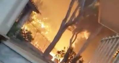 &laquo;&Epsilon;&rho;&iota;&xi;&alpha; &pi;ά&nu;&omega; &mu;&omicron;&upsilon; έ&nu;&alpha; &kappa;&omicron;&upsilon;&beta;ά &nu;&epsilon;&rho;ό &kappa;&alpha;&iota; &sigma;ώ&theta;&eta;&kappa;&alpha;&raquo; | &Eta; &mu;&alpha;&rho;&tau;&upsilon;&rho;ί&alpha; &tau;&omicron;&upsilon; &alpha;&nu;&theta;&rho;ώ&pi;&omicron;&upsilon; &pi;ί&sigma;&omega; &alpha;&pi;ό &tau;&omicron; &beta;ί&nu;&tau;&epsilon;&omicron;-&nu;&tau;&omicron;&kappa;&omicron;&upsilon;&mu;έ&nu;&tau;&omicron; &alpha;&pi;ό &tau;&omicron; &Mu;ά&tau;&iota;