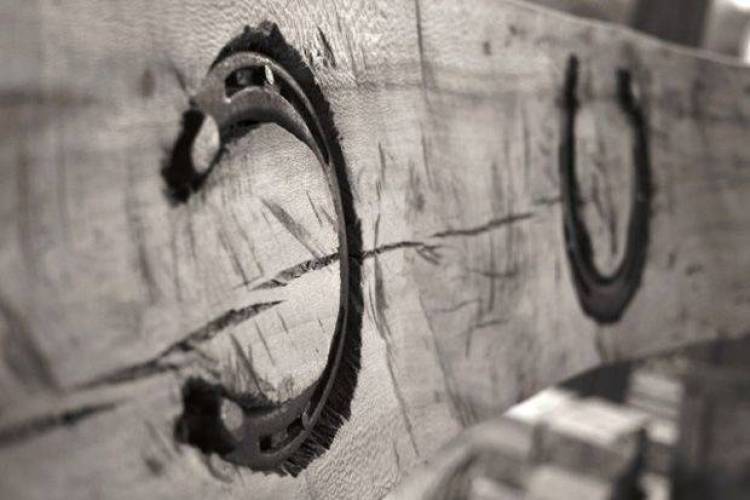 Περί θεωρίας του πετάλου