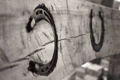 Περί θεωρίας του πετάλου