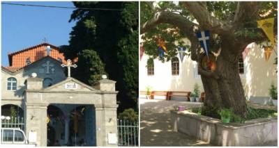 &Alpha;&gamma;&rho;&upsilon;&pi;&nu;ί&epsilon;&sigmaf; &gamma;&iota;&alpha; &tau;&eta;&nu; &epsilon;&omicron;&rho;&tau;ή &tau;&eta;&sigmaf; &Alpha;&pi;ό&delta;&omicron;&sigma;&eta;&sigmaf; &tau;&omicron;&upsilon; &Pi;ά&sigma;&chi;&alpha; &sigma;&epsilon; &Pi;&alpha;&nu;&alpha;&gamma;ί&alpha; &Tau;&sigma;&alpha;&sigmaf; &kappa;&alpha;&iota; &Alpha;&gamma;. &Pi;&alpha;&nu;&tau;&epsilon;&lambda;&epsilon;ή&mu;&omicron;&nu;&alpha; &Alpha;&nu;&delta;&rho;&omega;&nu;ί&omicron;&upsilon;