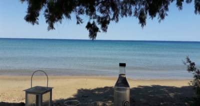 pamfthino-me-foveres-paralies-kai-apistefto-fagito-to-pareksigimeno-nisi-pou-proteinei-xoris-deyteri-skepsi-o-tasos-doysis