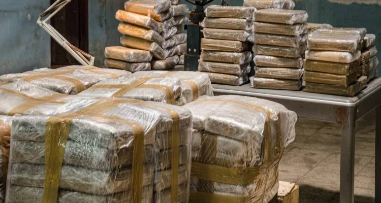 &Beta;&rho;&alpha;&zeta;&iota;&lambda;ί&alpha;: &Kappa;&alpha;&tau;&alpha;&sigma;&chi;έ&theta;&eta;&kappa;&alpha;&nu; 3,6 &tau;ό&nu;&omicron;&iota; &kappa;&omicron;&kappa;&alpha;ΐ&nu;&eta;&sigmaf; &alpha;&pi;ό &tau;&omicron; &Pi;&omicron;&lambda;&epsilon;&mu;&iota;&kappa;ό &Nu;&alpha;&upsilon;&tau;&iota;&kappa;ό