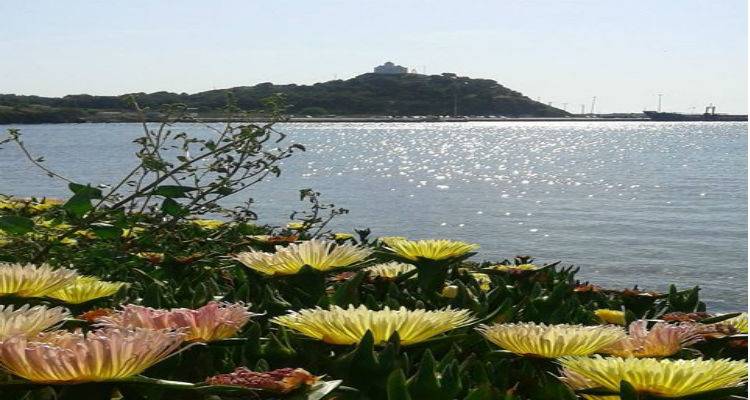 &Kappa;&alpha;&iota;&rho;ό&sigmaf;: &Mu;έ&chi;&rho;&iota; 22 &beta;&alpha;&theta;&mu;&omicron;ύ&sigmaf; &sigma;ή&mu;&epsilon;&rho;&alpha; &sigma;&tau;&eta; &Lambda;ή&mu;&nu;&omicron;