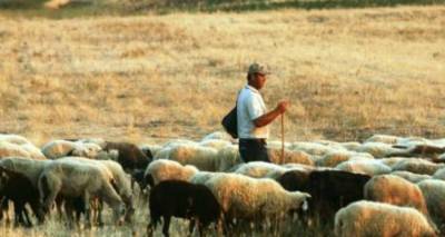 &Tau;&omicron; &Kappa;&Kappa;&Epsilon; &Lambda;ή&mu;&nu;&omicron;&upsilon; &gamma;&iota;&alpha; &tau;&alpha; &pi;&rho;&omicron;&beta;&lambda;ή&mu;&alpha;&tau;&alpha; &tau;&omega;&nu; &kappa;&tau;&eta;&nu;&omicron;&tau;&rho;ό&phi;&omega;&nu; &tau;&omicron;&upsilon; &nu;&eta;&sigma;&iota;&omicron;ύ