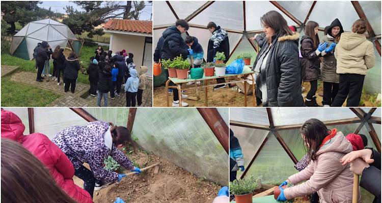 &Gamma;&upsilon;&mu;&nu;ά&sigma;&iota;&omicron; &Mu;&omicron;ύ&delta;&rho;&omicron;&upsilon;: &Mu;&alpha;&theta;&eta;&tau;έ&sigmaf; - &gamma;&epsilon;&omega;&pi;ό&nu;&omicron;&iota; &laquo;&zeta;&omega;&nu;&tau;&alpha;&nu;&epsilon;ύ&omicron;&upsilon;&nu;&raquo; &tau;&omicron; &theta;&epsilon;&rho;&mu;&omicron;&kappa;ή&pi;&iota;&omicron; &kappa;&alpha;&iota; &tau;&omicron;&nu; &kappa;ή&pi;&omicron; &tau;&omicron;&upsilon; &sigma;&chi;&omicron;&lambda;&epsilon;ί&omicron;&upsilon; &tau;&omicron;&upsilon;&sigmaf;