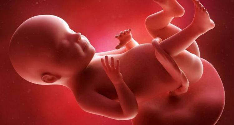 &Beta;&rho;&epsilon;&tau;&alpha;&nu;ί&alpha;: &laquo;&Pi;&rho;ά&sigma;&iota;&nu;&omicron; &phi;&omega;&sigmaf;&raquo; &gamma;&iota;&alpha; &gamma;&epsilon;&nu;&epsilon;&tau;&iota;&kappa;ή &tau;&rho;&omicron;&pi;&omicron;&pi;&omicron;ί&eta;&sigma;&eta; &alpha;&nu;&theta;&rho;ώ&pi;&iota;&nu;&omega;&nu; &epsilon;&mu;&beta;&rho;ύ&omega;&nu;