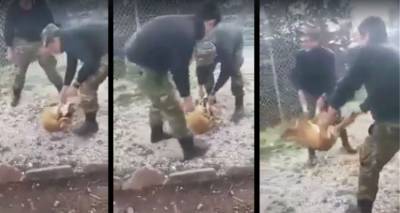 &Tau;&alpha;&upsilon;&tau;&omicron;&pi;&omicron;&iota;ή&theta;&eta;&kappa;&alpha;&nu; &omicron;&iota; &sigma;&tau;&rho;&alpha;&tau;&iota;ώ&tau;&epsilon;&sigmaf; &pi;&omicron;&upsilon; &pi;έ&tau;&alpha;&xi;&alpha;&nu; &sigma;&kappa;ύ&lambda;&omicron; &sigma;&epsilon; &gamma;&kappa;&rho;&epsilon;&mu;ό!