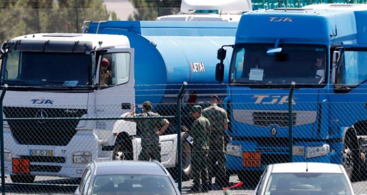 &Pi;&omicron;&rho;&tau;&omicron;&gamma;&alpha;&lambda;ί&alpha;: &Alpha;&pi;&epsilon;&rho;&gamma;ί&alpha; &beta;&upsilon;&tau;&iota;&omicron;&phi;ό&rho;&omega;&nu; | &Sigma;&tau;έ&rho;&epsilon;&psi;&alpha;&nu; &tau;&alpha; &pi;&rho;&alpha;&tau;ή&rho;&iota;&alpha;, &pi;ά&nu;&epsilon; &sigma;&tau;&eta;&nu; &Iota;&sigma;&pi;&alpha;&nu;ί&alpha; &gamma;&iota;&alpha; &beta;&epsilon;&nu;&zeta;ί&nu;&eta;