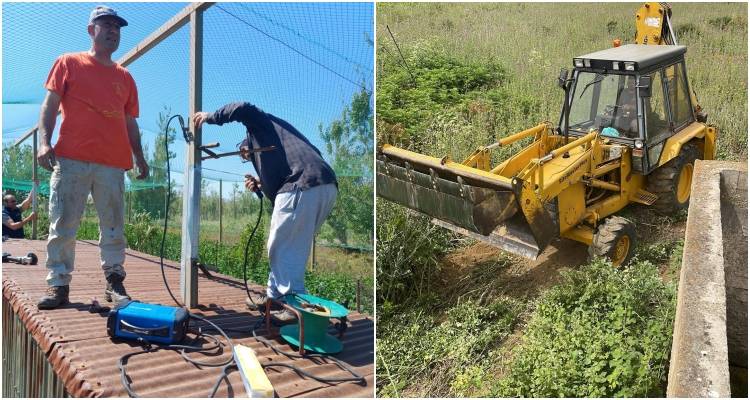 &Epsilon;&rho;&gamma;&alpha;&sigma;ί&epsilon;&sigmaf; &sigma;&upsilon;&nu;&tau;ή&rho;&eta;&sigma;&eta;&sigmaf; &kappa;&alpha;&iota; &kappa;&alpha;&theta;&alpha;&rho;&iota;&sigma;&mu;&omicron;ύ &sigma;&tau;&omicron;&nu; &kappa;&lambda;&omega;&beta;ό &tau;&omicron;&upsilon; &Kappa;&upsilon;&nu;&eta;&gamma;&epsilon;&tau;&iota;&kappa;&omicron;ύ &Sigma;&upsilon;&lambda;&lambda;ό&gamma;&omicron;&upsilon; &Lambda;ή&mu;&nu;&omicron;&upsilon;