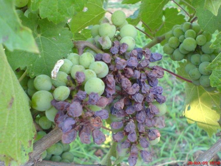 &Xi;&epsilon;&kappa;&iota;&nu;&omicron;ύ&nu; &omicron;&iota; &alpha;ί&tau;&eta;&sigma;&eta;&sigmaf; &gamma;&iota;&alpha; &tau;&iota;&sigmaf; &zeta;&eta;&mu;&iota;έ&sigmaf; &alpha;&pi;ό &tau;&omicron;&nu; &pi;&epsilon;&rho;&omicron;&nu;ό&sigma;&pi;&omicron;&rho;&omicron; &tau;&omicron;&upsilon; 2011