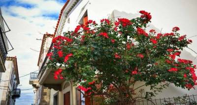 &laquo;&Mu;&pi;&lambda;&epsilon;&raquo;: Έ&kappa;&theta;&epsilon;&sigma;&eta; &alpha;&pi;ό &tau;&eta; &phi;&omega;&tau;&omicron;&gamma;&rho;&alpha;&phi;&iota;&kappa;ή &omicron;&mu;ά&delta;&alpha; &Lambda;ή&mu;&nu;&omicron;&upsilon;