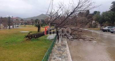 dimos-limnou-ameses-energeies-gia-tin-antimetopisi-ton-synepeion-tis-theominias