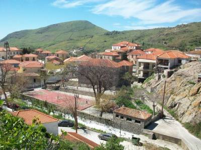 &Epsilon;&rho;ώ&tau;&eta;&sigma;&eta; &Zeta;&epsilon;&rho;&delta;&epsilon;&lambda;ή &gamma;&iota;&alpha; &tau;&omicron;&nu; &upsilon;&pi;&omicron;&beta;&iota;&beta;&alpha;&sigma;&mu;ό &tau;&omega;&nu; &Delta;&eta;&mu;&omicron;&tau;&iota;&kappa;ώ&nu; &tau;&omicron;&upsilon; &Theta;ά&nu;&omicron;&upsilon;&sigmaf; &kappa;&alpha;&iota; &tau;&omicron;&upsilon; &Kappa;ά&sigma;&pi;&alpha;&kappa;&alpha;