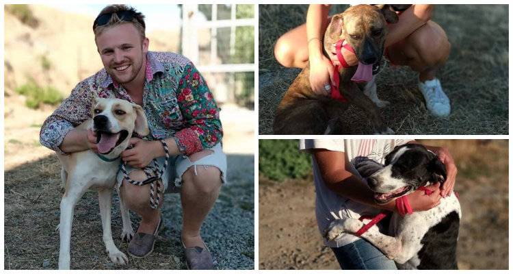 Λήμνος: Άγγλοι σπουδαστές ζήτησαν να βγάλουν βόλτα τα σκυλιά του καταφυγίου (photos)