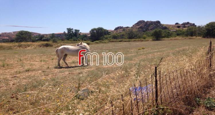 &Mu;ύ&rho;&iota;&nu;&alpha;: &laquo;Ά&lambda;&omicron;&gamma;&omicron; &delta;&epsilon;&mu;έ&nu;&omicron; &mu;έ&sigma;&alpha; &sigma;&tau;&omicron;&nu; ή&lambda;&iota;&omicron; &kappa;&alpha;&iota; &chi;&omega;&rho;ί&sigmaf; &nu;&epsilon;&rho;ό 4 &eta;&mu;έ&rho;&epsilon;&sigmaf;&raquo;