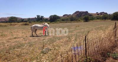 &Mu;ύ&rho;&iota;&nu;&alpha;: &laquo;Ά&lambda;&omicron;&gamma;&omicron; &delta;&epsilon;&mu;έ&nu;&omicron; &mu;έ&sigma;&alpha; &sigma;&tau;&omicron;&nu; ή&lambda;&iota;&omicron; &kappa;&alpha;&iota; &chi;&omega;&rho;ί&sigmaf; &nu;&epsilon;&rho;ό 4 &eta;&mu;έ&rho;&epsilon;&sigmaf;&raquo;