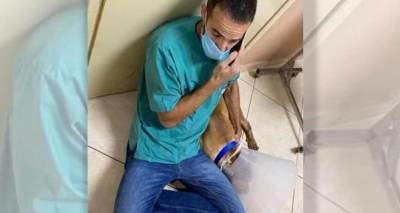 &laquo;&Sigma;&omicron;&kappa;&alpha;&rho;&iota;&sigma;&tau;&iota;&kappa;ό &theta;έ&alpha;&mu;&alpha;&raquo; &lambda;έ&epsilon;&iota; &omicron; &kappa;&tau;&eta;&nu;ί&alpha;&tau;&rho;&omicron;&sigmaf; &pi;&omicron;&upsilon; έ&sigma;&omega;&sigma;&epsilon; &tau;&omicron;&nu; &sigma;&kappa;ύ&lambda;&omicron; &sigma;&tau;&alpha; &Chi;&alpha;&nu;&iota;ά | &laquo;&Alpha;&nu; &alpha;&rho;&gamma;&omicron;ύ&sigma;&epsilon; &pi;έ&nu;&tau;&epsilon; &lambda;&epsilon;&pi;&tau;ά, &delta;&epsilon;&nu; &theta;&alpha; &zeta;&omicron;ύ&sigma;&epsilon;&raquo;