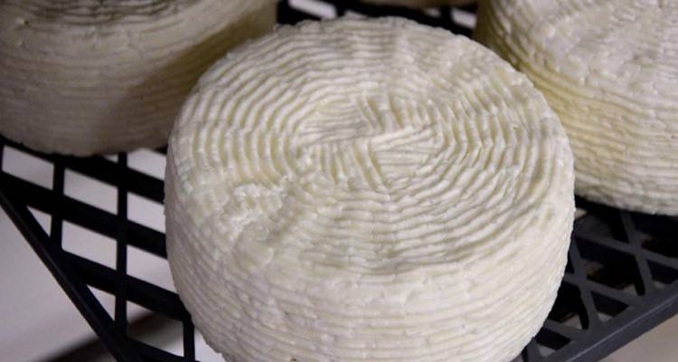 Τυρί Καλαθάκι Λήμνου με… λίγα λόγια