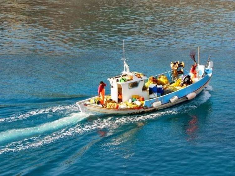 Έ&omega;&sigmaf; &tau;&iota;&sigmaf; 8 &Alpha;&upsilon;&gamma;&omicron;ύ&sigma;&tau;&omicron;&upsilon; &omicron;&iota; &alpha;&iota;&tau;ή&sigma;&epsilon;&iota;&sigmaf; &gamma;&iota;&alpha; &tau;&omicron; &Epsilon;&pi;&iota;&chi;&epsilon;&iota;&rho;&eta;&sigma;&iota;&alpha;&kappa;ό &Pi;&rho;ό&gamma;&rho;&alpha;&mu;&mu;&alpha; &Alpha;&lambda;&iota;&epsilon;ί&alpha;&sigmaf;