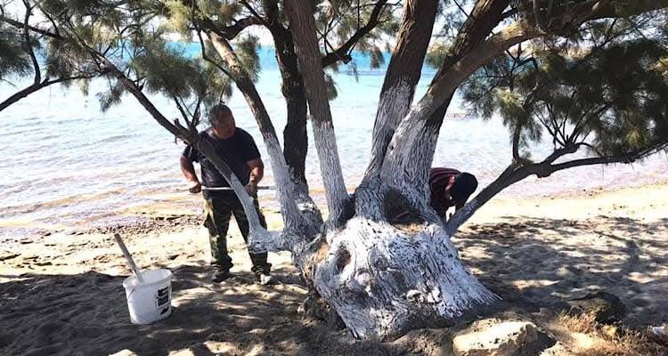 &Mu;&epsilon; &pi;&rho;&omega;&tau;&omicron;&beta;&omicron;&upsilon;&lambda;ί&alpha; &delta;ύ&omicron; &pi;&omicron;&lambda;&iota;&tau;ώ&nu; &kappa;&alpha;&theta;&alpha;&rho;ί&sigma;&tau;&eta;&kappa;&epsilon; &eta; &pi;&alpha;&rho;&alpha;&lambda;ί&alpha; &tau;&eta;&sigmaf; &Kappa;&alpha;&lambda;&lambda;&iota;&theta;έ&alpha;&sigmaf; | &Epsilon;&upsilon;&chi;&alpha;&rho;&iota;&sigma;&tau;ί&epsilon;&sigmaf; &alpha;&pi;ό &tau;&omicron;&nu; &pi;&rho;ό&epsilon;&delta;&rho;&omicron; &tau;&eta;&sigmaf; &Kappa;&omicron;&iota;&nu;ό&tau;&eta;&tau;&alpha;&sigmaf;
