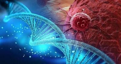 &Epsilon;&lambda;&pi;ί&delta;&epsilon;&sigmaf; &alpha;&pi;ό &nu;έ&alpha; &theta;&epsilon;&rho;&alpha;&pi;&epsilon;ί&alpha; &gamma;&iota;&alpha; &delta;ύ&omicron; &mu;&omicron;&rho;&phi;έ&sigmaf; &kappa;&alpha;&rho;&kappa;ί&nu;&omicron;&upsilon;