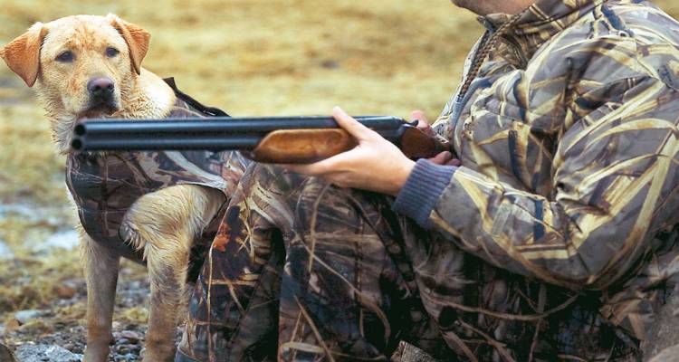 Λήμνος: Αυτός είναι ο χάρτης καταφυγίων άγριας ζωής και ο πίνακας με τα θηρεύσιμα είδη κυνηγετικής περιόδου 2017-18