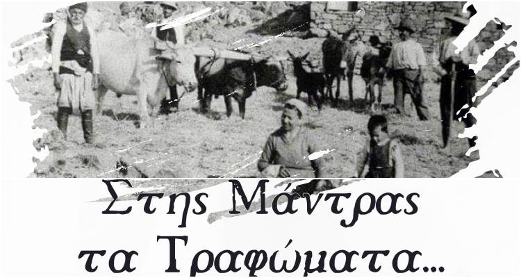 «Στης Μάντρας τα Τραφώματα»: Η ετήσια μουσικοχορευτική εκδήλωση του ΜΕΣ «Άγιος Δημήτριος»