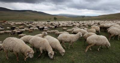 &Alpha;&phi;&theta;ώ&delta;&eta;&sigmaf; &pi;&upsilon;&rho;&epsilon;&tau;ό&sigmaf;: &Alpha;&nu;&epsilon;&beta;&alpha;ί&nu;&epsilon;&iota; &epsilon;&pi;&iota;&kappa;ί&nu;&delta;&upsilon;&nu;&alpha; &tau;&omicron; &phi;&omicron;&rho;&tau;ί&omicron; &sigma;&tau;&eta; &Lambda;έ&sigma;&beta;&omicron; | 43 &kappa;&rho;&omicron;ύ&sigma;&mu;&alpha;&tau;&alpha; &sigma;&epsilon; 54 &epsilon;&kappa;&tau;&rho;&omicron;&phi;έ&sigmaf;