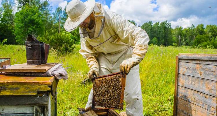 Λήμνος: Το συσκευαστήριο του Μελισσοκομικού Συνεταιρισμού είναι γεγονός