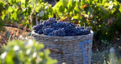 sta-mesa-avgoystou-ksekinaei-o-trygos-sti-limno-to-programma