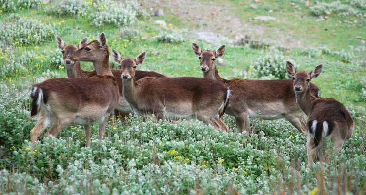 &Phi;&iota;&lambda;&omicron;&zeta;&omega;&iota;&kappa;ό &Sigma;&omega;&mu;&alpha;&tau;&epsilon;ί&omicron; &Lambda;ή&mu;&nu;&omicron;&upsilon;: &Sigma;&upsilon;&sigma;&tau;ά&theta;&eta;&kappa;&epsilon; &eta; &omicron;&mu;ά&delta;&alpha; &epsilon;&rho;&gamma;&alpha;&sigma;ί&alpha;&sigmaf; &gamma;&iota;&alpha; &tau;&eta; &delta;&iota;&alpha;&chi;&epsilon;ί&rho;&iota;&sigma;&eta; &tau;&omega;&nu; &pi;&lambda;&alpha;&tau;&omega;&nu;&iota;ώ&nu;